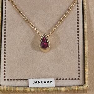Vintage January birthstone necklace 16 inch chain